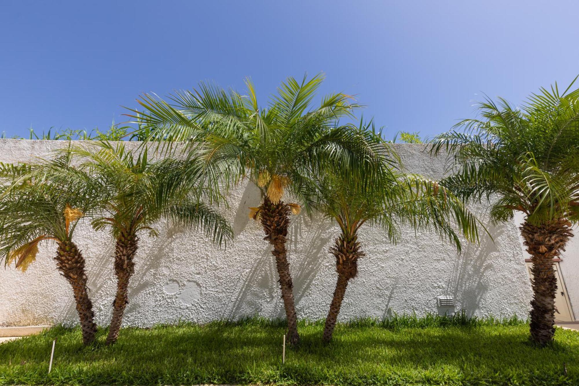 Villa Kore, Capo Vaticano Εξωτερικό φωτογραφία